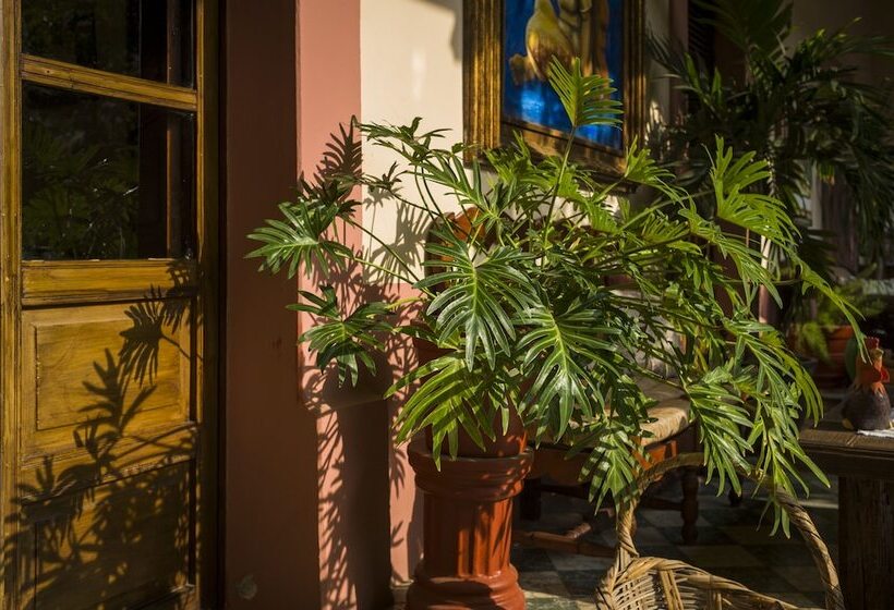 Mesón De Santa Elena Hotel Galeria