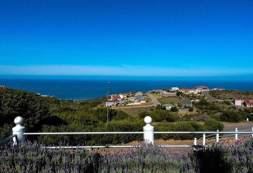 פנסיון Amzee Bokmakierie Guest House