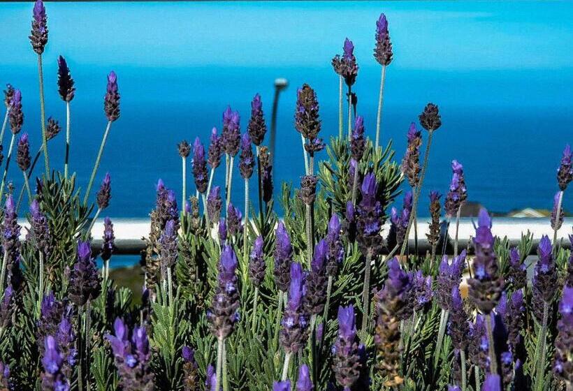 פנסיון Amzee Bokmakierie Guest House