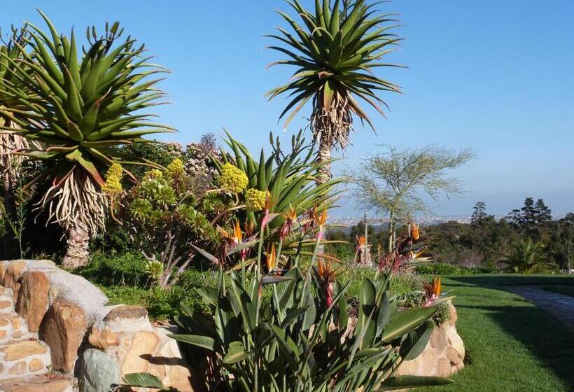 بنسيون Apricot Gardens Guesthouse