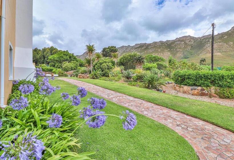 بنسيون Apricot Gardens Guesthouse