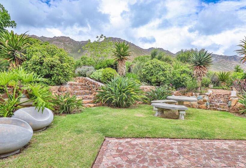 بنسيون Apricot Gardens Guesthouse