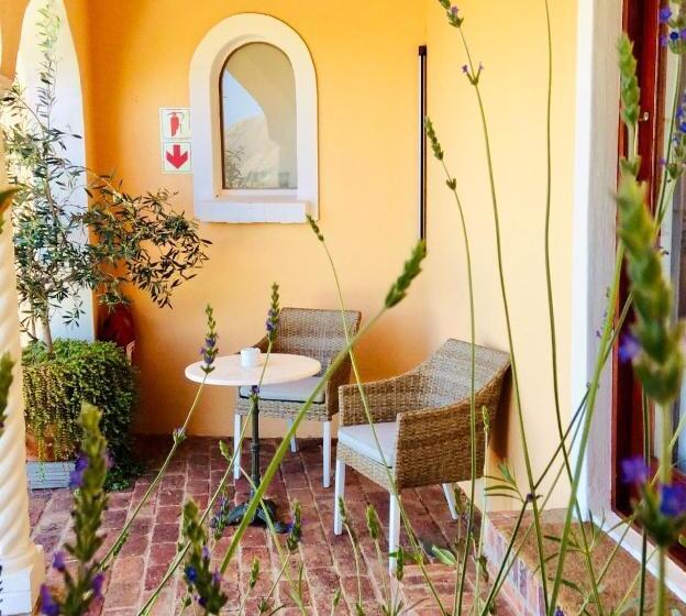 بنسيون Apricot Gardens Guesthouse