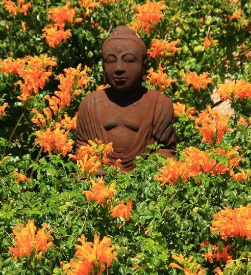 بنسيون Apricot Gardens Guesthouse