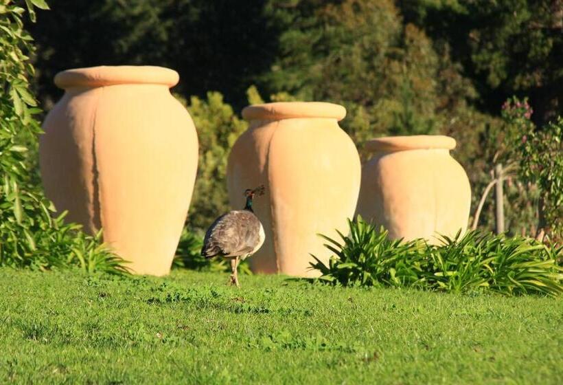 بنسيون Apricot Gardens Guesthouse