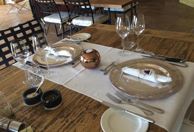 بنسيون Apricot Gardens Guesthouse