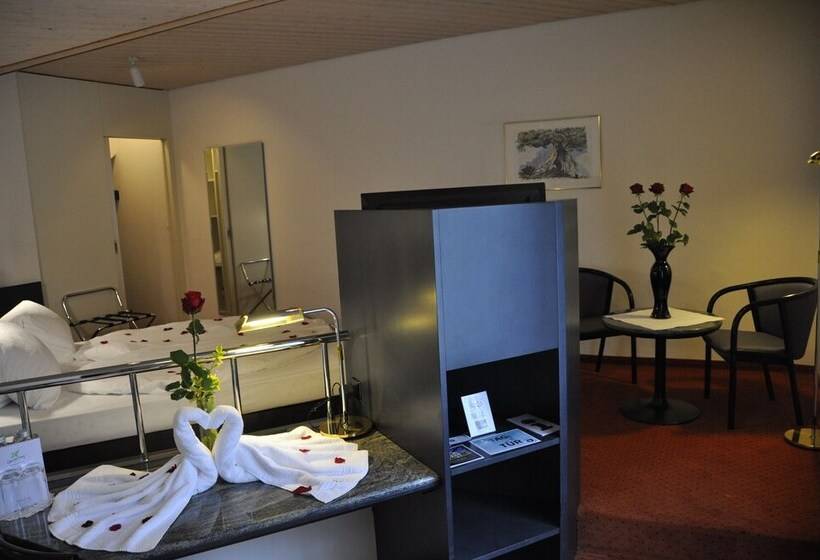 Pensionat Gasthof Kreuz Egerkingen