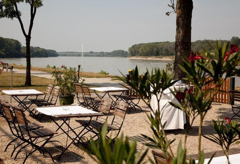 פנסיון Gasthof Zum Goldenen Anker