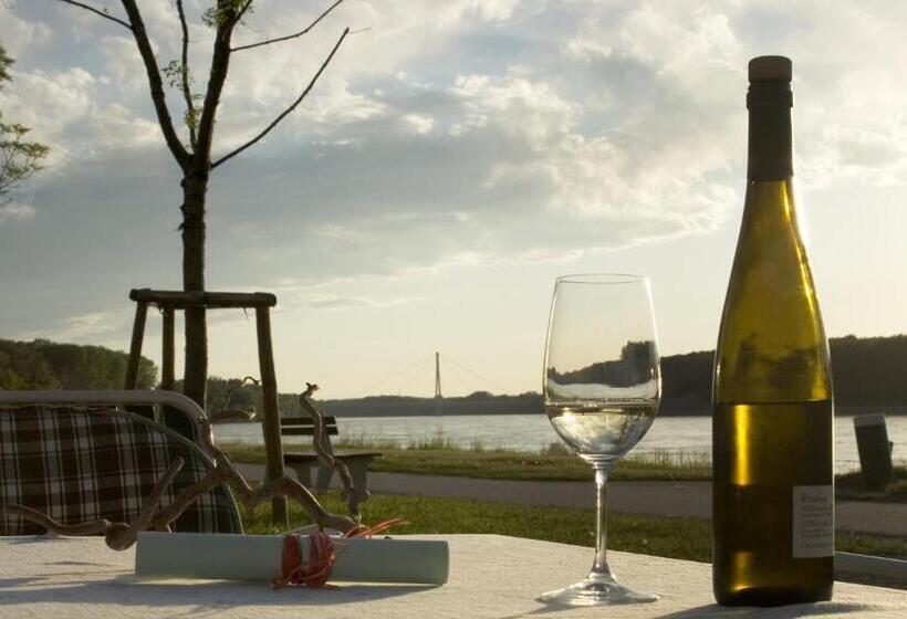 פנסיון Gasthof Zum Goldenen Anker