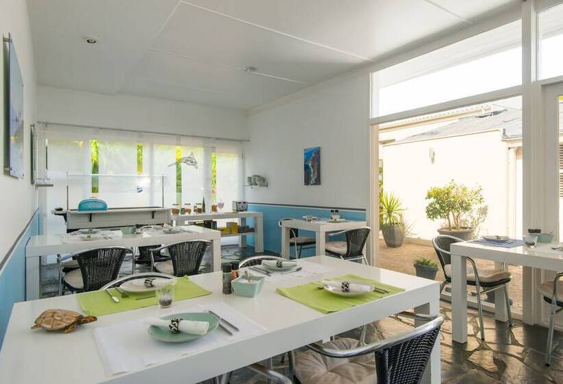 膳宿费 Southern Cross Guesthouse