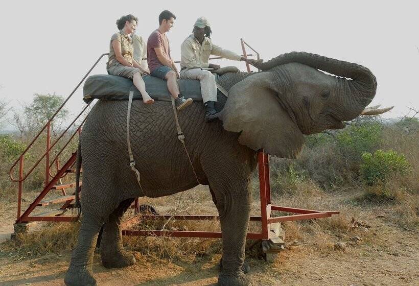 פנסיון Trees Too Guest Lodge