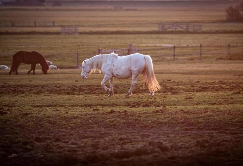Strandhotel Camperduin