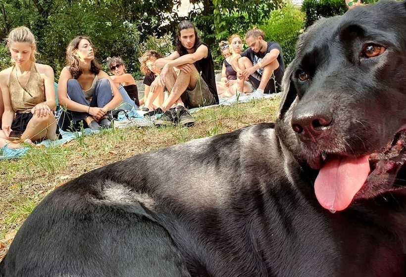 Wiki Hostel & Greenvillage