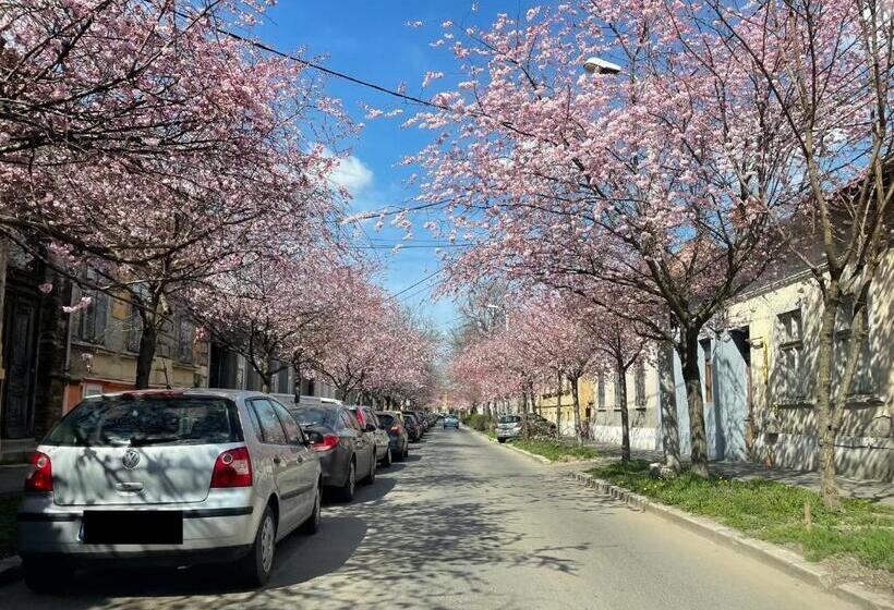 Dulcineea Downtown Garden Studio Comfy Quiet Selfcheck In Avlb