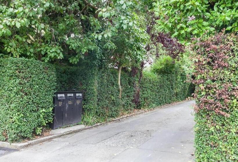 French City Mansion   Christchurch Luxury Home