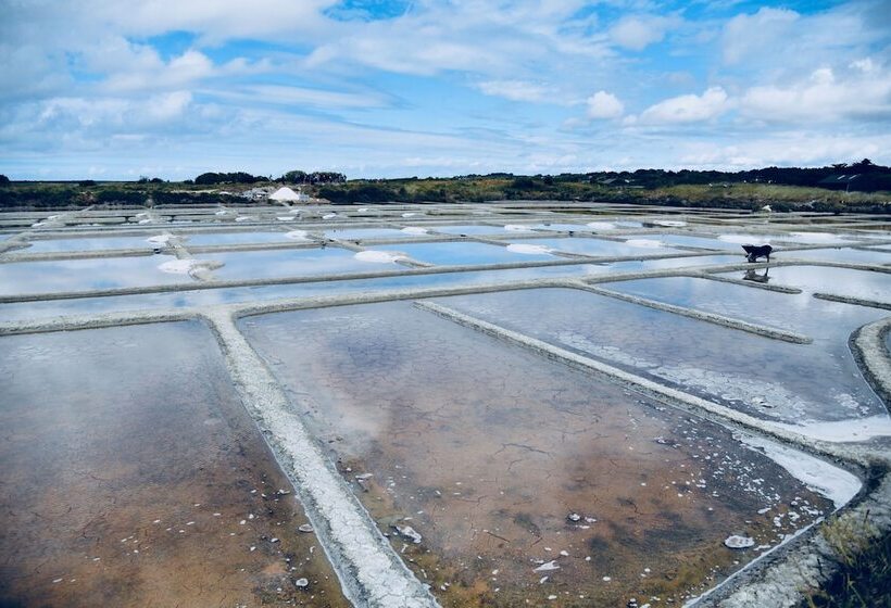 Отель Ibis Styles Saint Nazaire Centre Gare