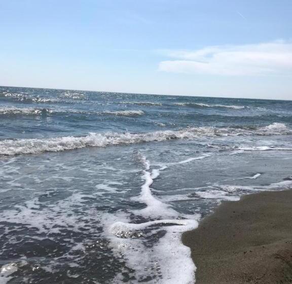 호텔 Mario, Shengjin