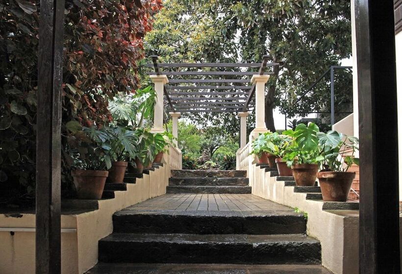 ホテル Nava Suites