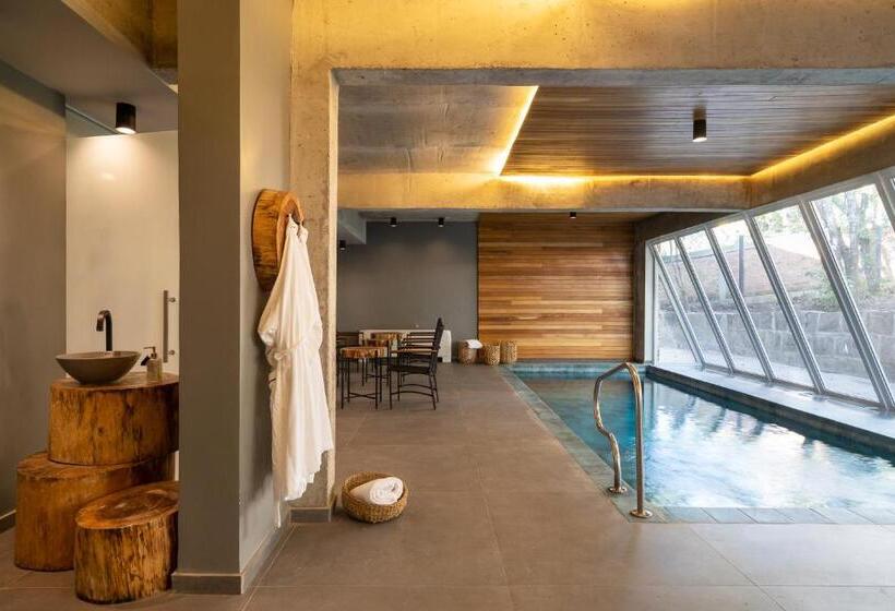 Jangal Das Araucárias Swan Design Hotel Canela