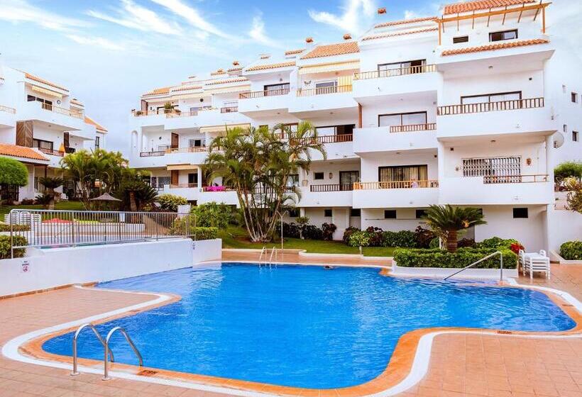 Live Los Cristianos Garden And Pool