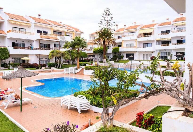 Live Los Cristianos Garden And Pool
