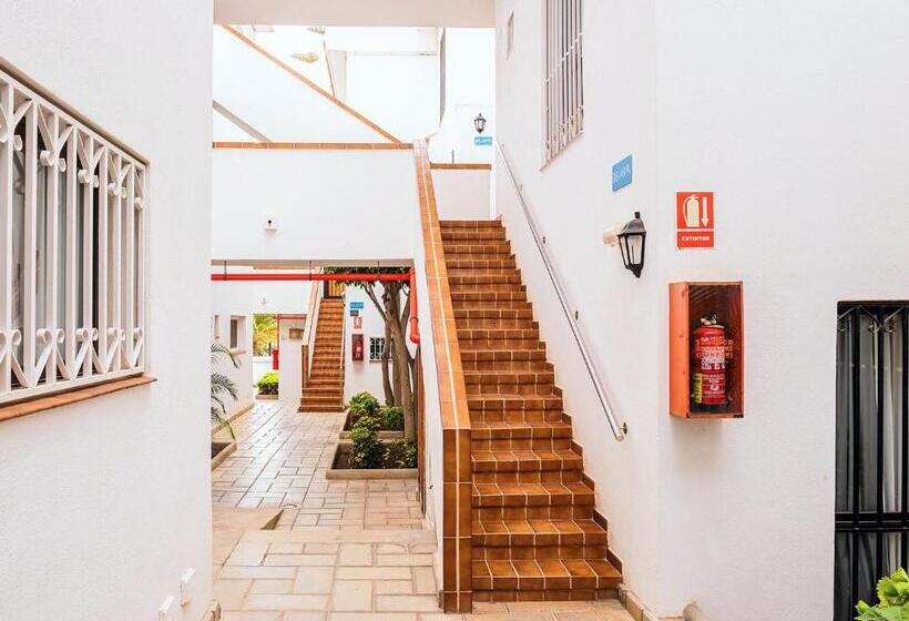 Live Los Cristianos Garden And Pool