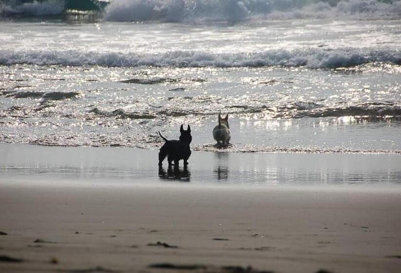 פנסיון ワンコと泊まるジャスミンクリーク