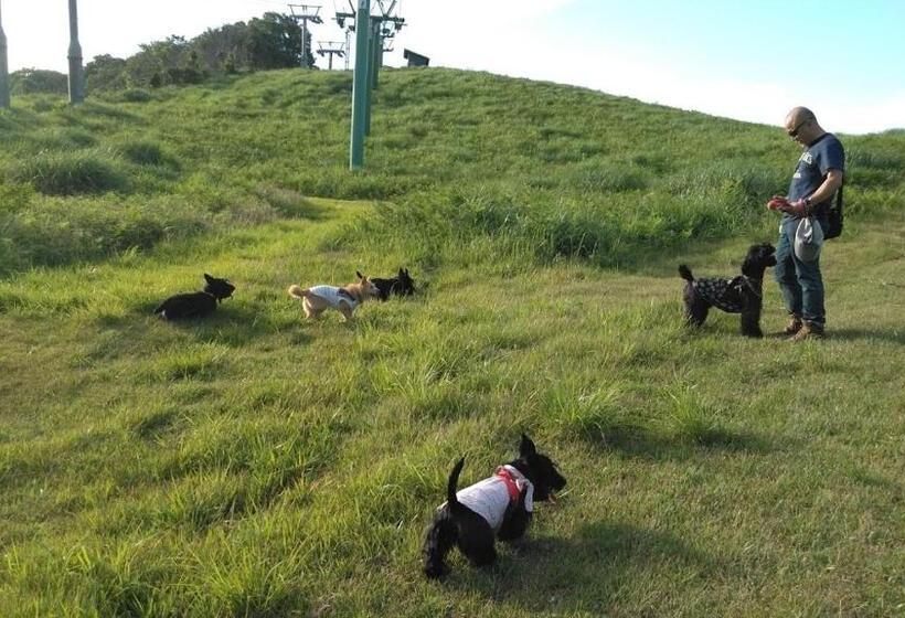 פנסיון ワンコと泊まるジャスミンクリーク