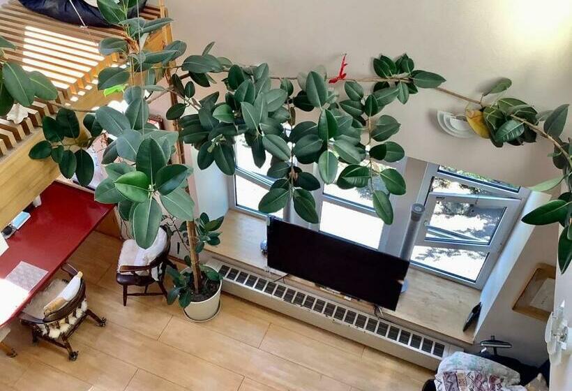 بنسيون B&b Yoshida   Vacation Stay 12708