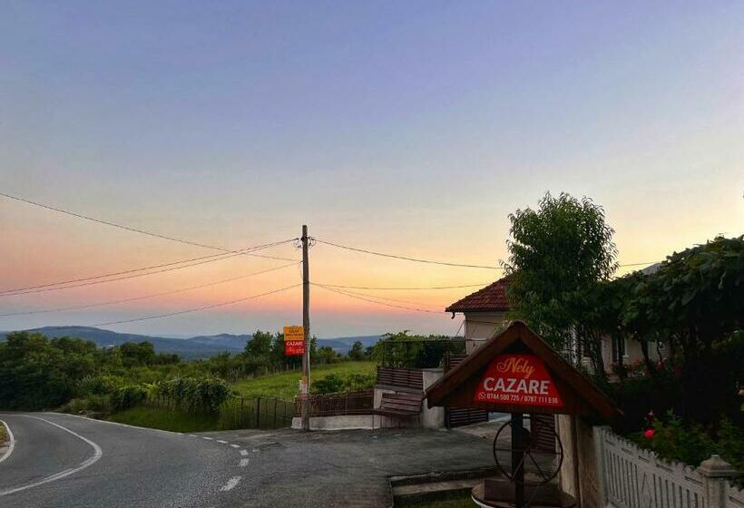 Пансион Cazare Nely