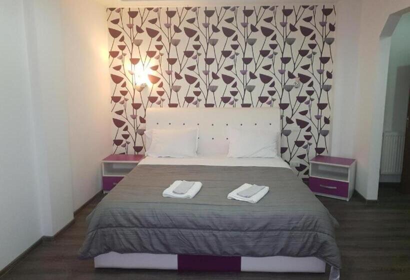 펜션 La Zinculescu