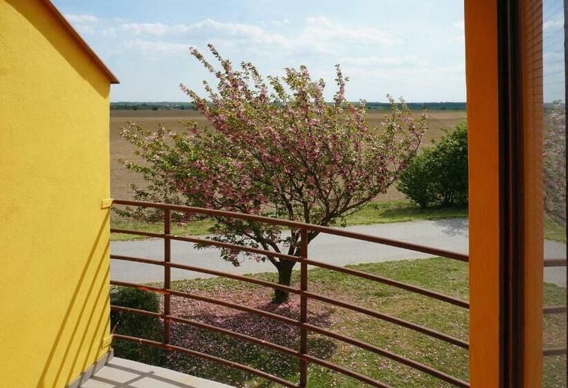 펜션 Leo   Penzion