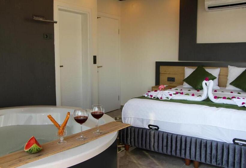 Ultra Lüx Vi̇lla Viranlar