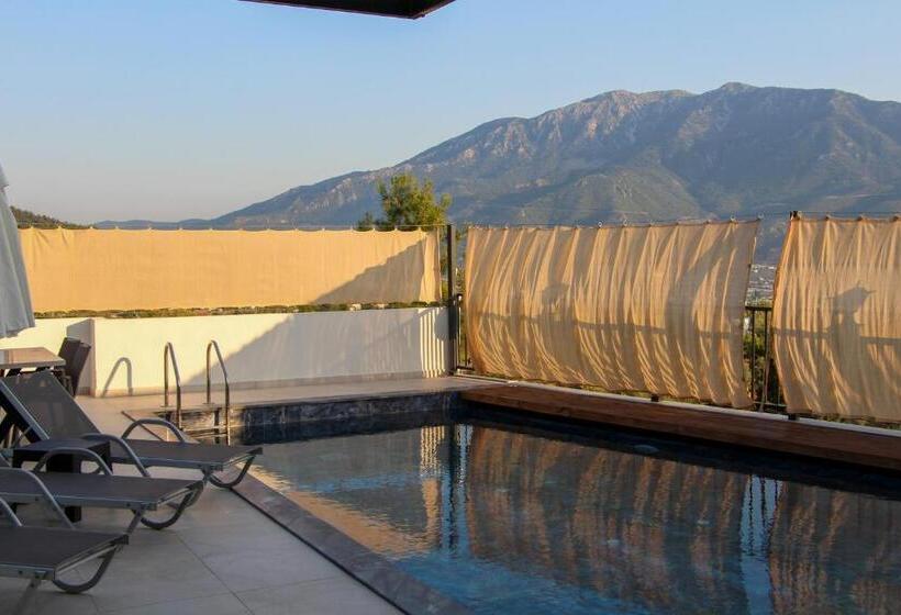 Ultra Lüx Vi̇lla Viranlar