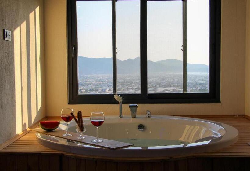 Ultra Lüx Vi̇lla Viranlar