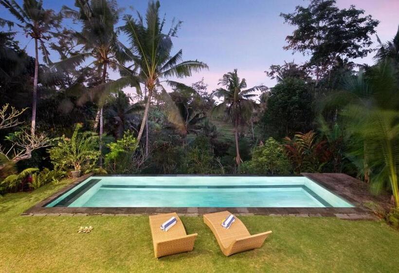 Villa With Amazing Rice Field View Between Canggu And Ubud