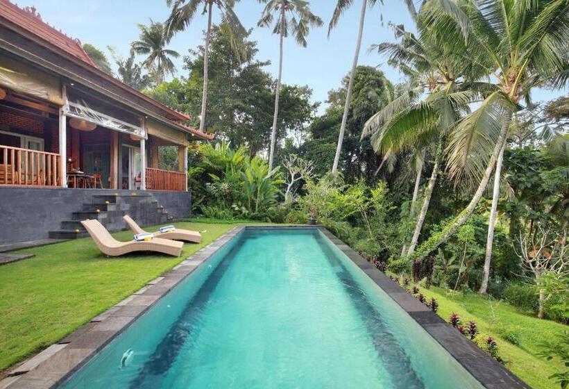 Villa With Amazing Rice Field View Between Canggu And Ubud
