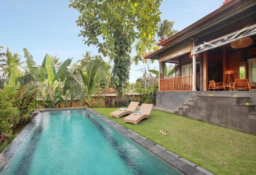Villa With Amazing Rice Field View Between Canggu And Ubud