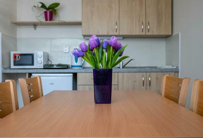 Szálló Apartmány A Studia Zámecký Park