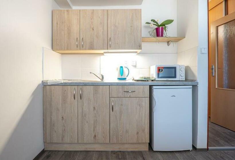 Szálló Apartmány A Studia Zámecký Park