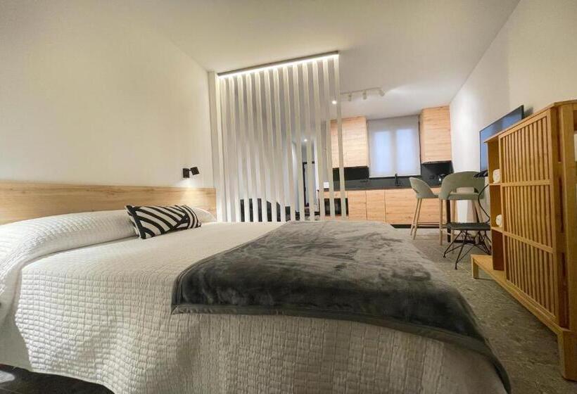 Apartamentos Mk77 León   Lahoz