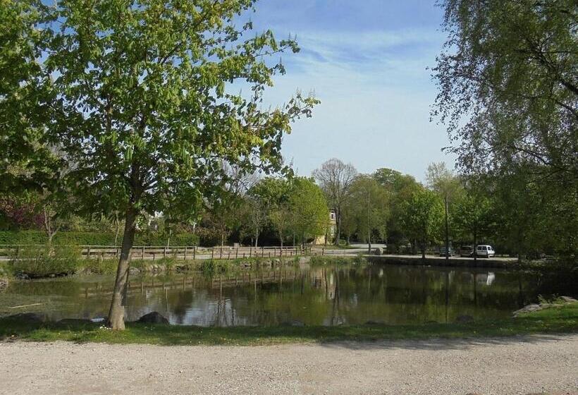 Backhaus 4