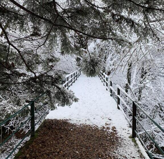 Casa Bruja Tradizionale Rustico Ticinese