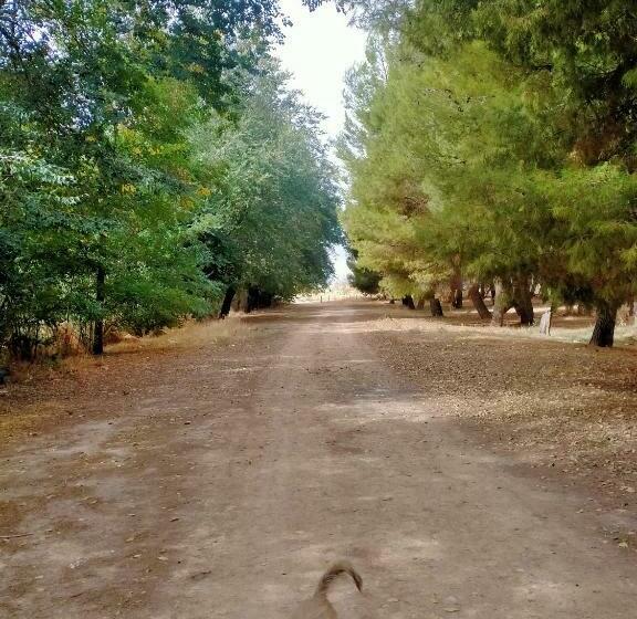 El Refugio Bed & Breakfast