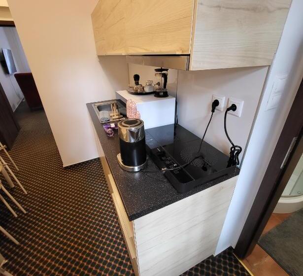 Excellent Apartments In Karlovy Vary