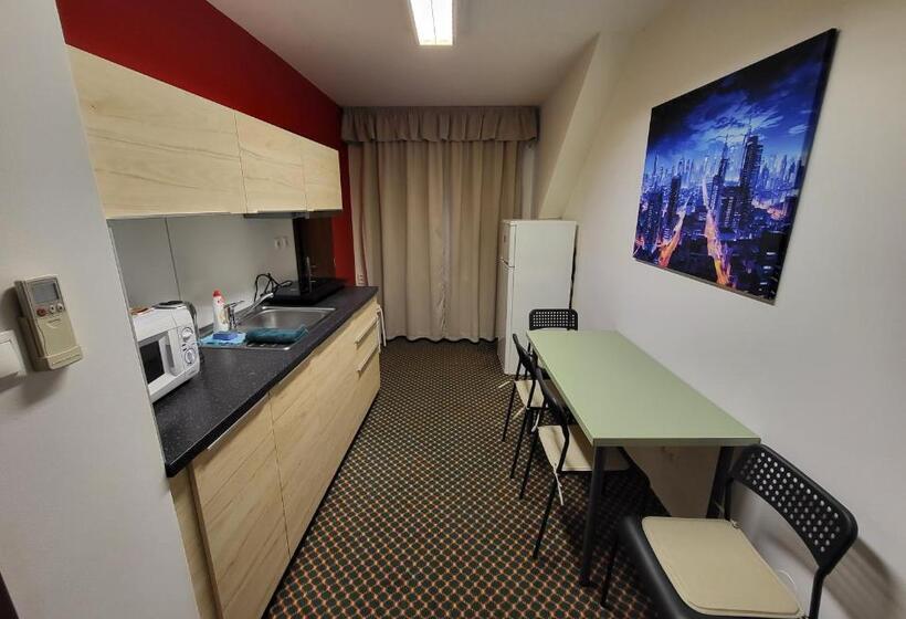 Excellent Apartments In Karlovy Vary