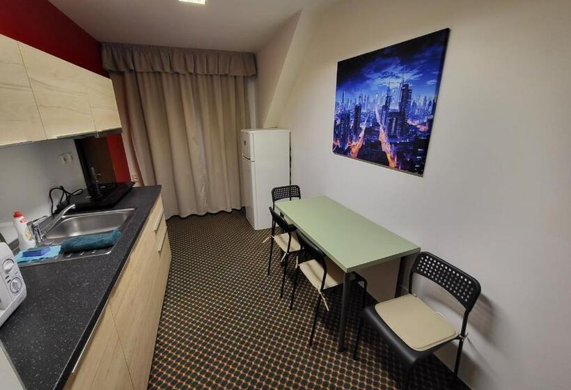 Excellent Apartments In Karlovy Vary