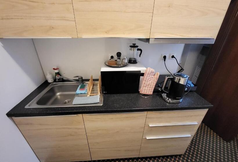 Excellent Apartments In Karlovy Vary