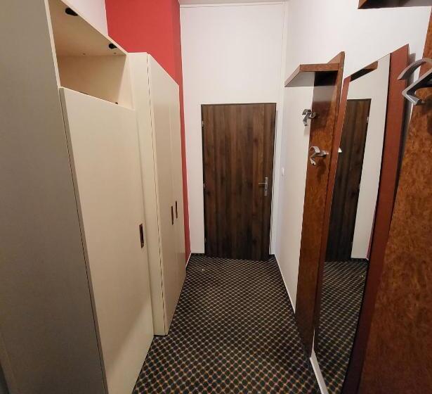 Excellent Apartments In Karlovy Vary