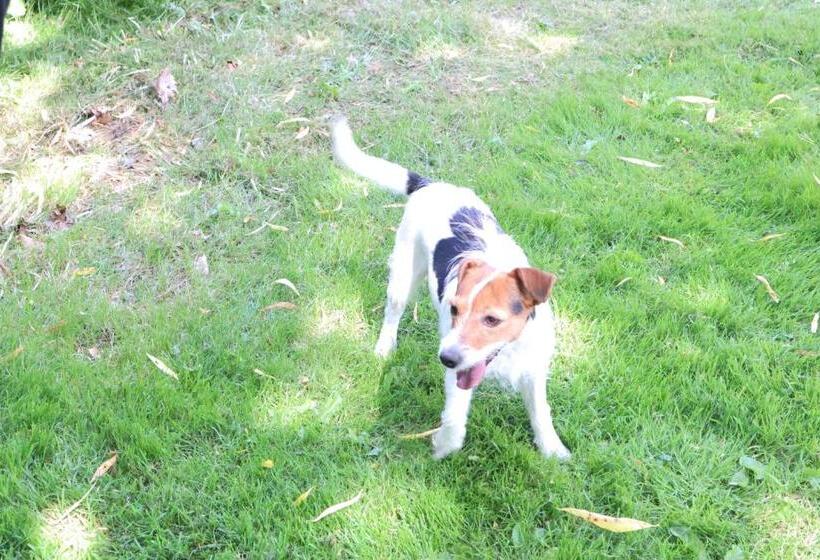 Ferienhaus Heinrichs